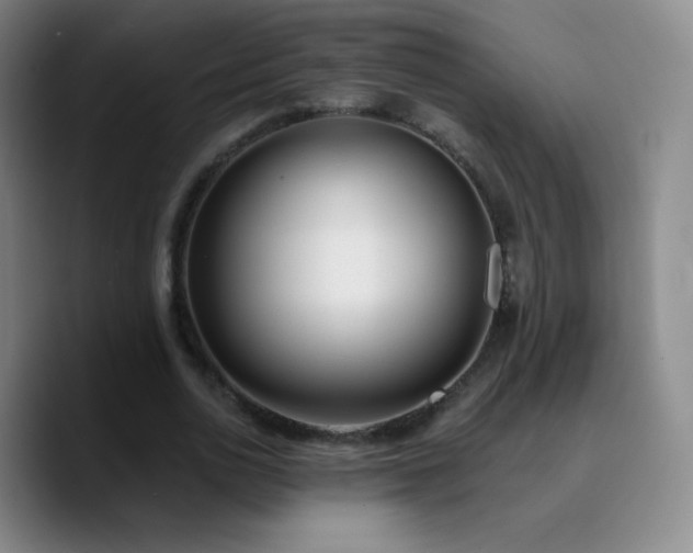 X0000090750726200707201449