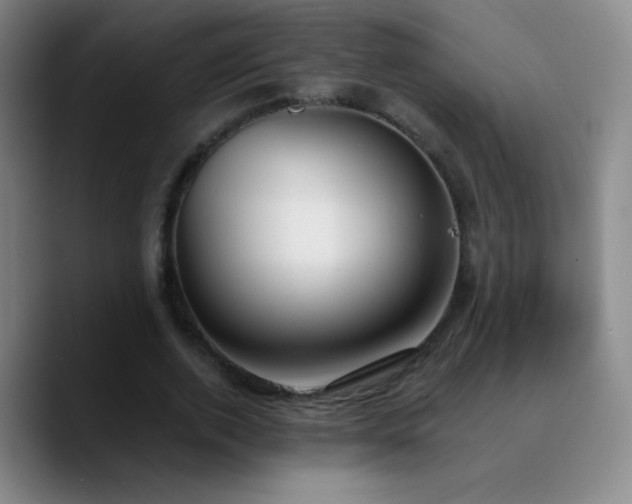 X0000090750728200707201449