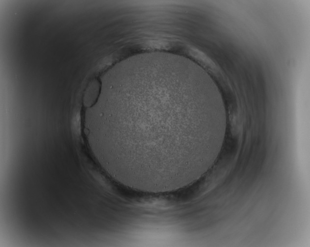 X0000090750729200707201449