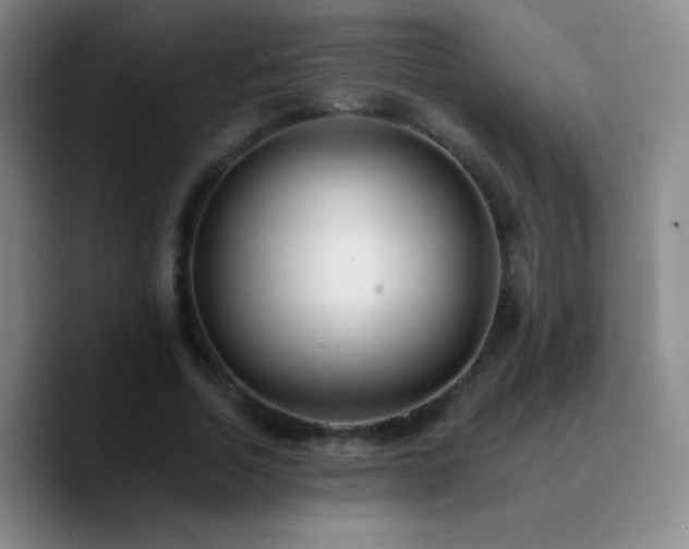 X0000090750730200707201449