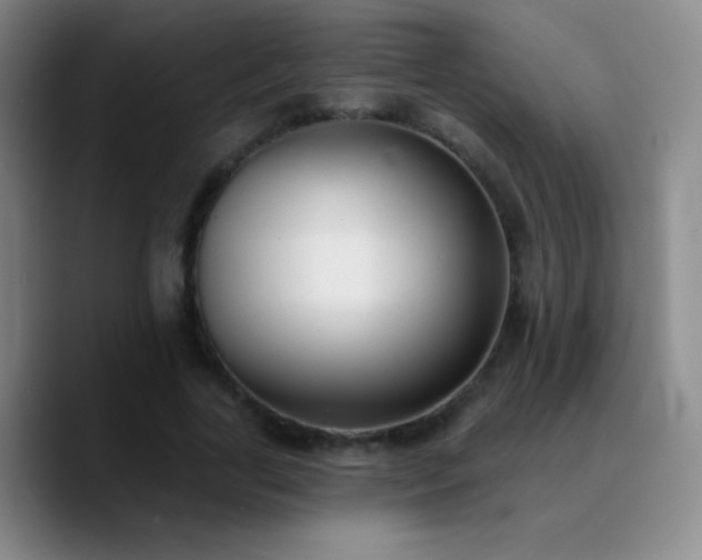 X0000090750731200707201449