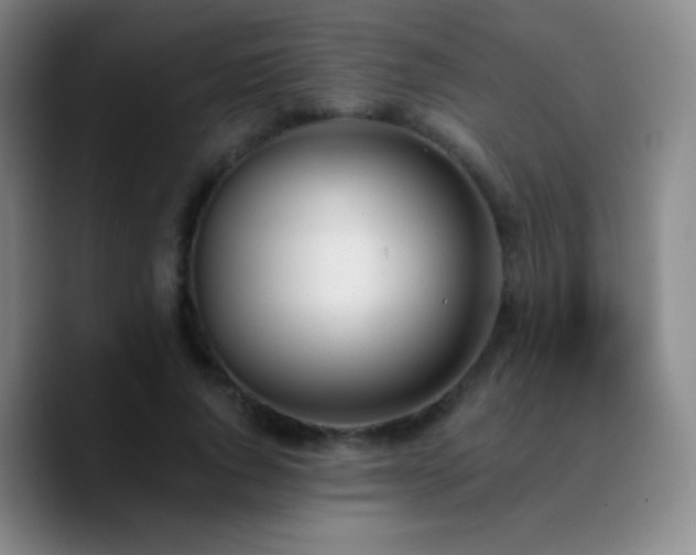 X0000090750736200707201449