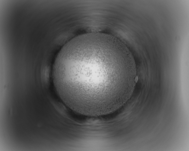 X0000090750742200707201449