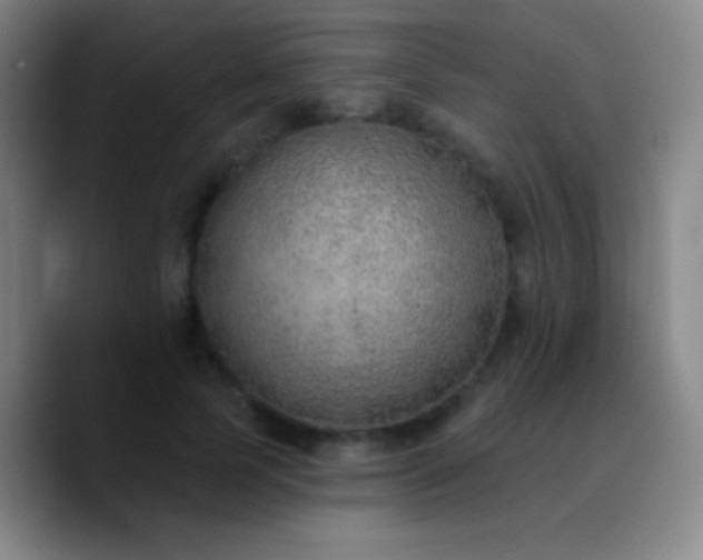 X0000090750745200707201449