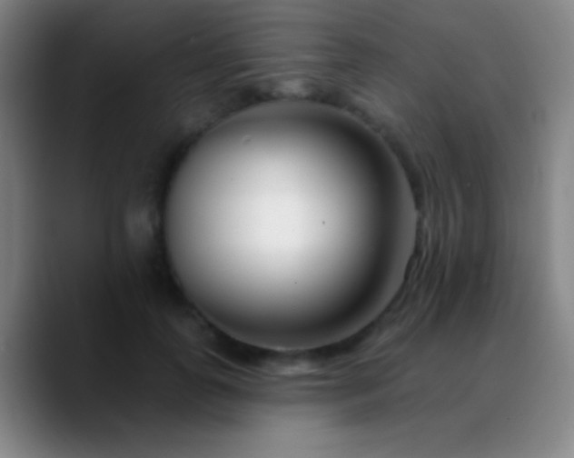 X0000090750747200707201449