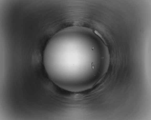 X0000090750748200707201449