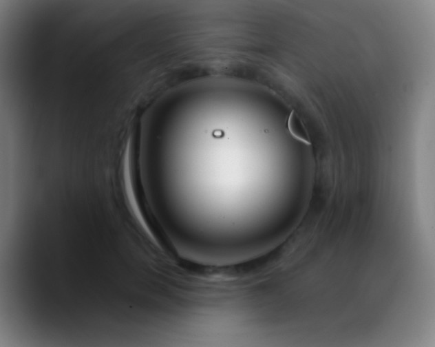 X0000090750750200707201449