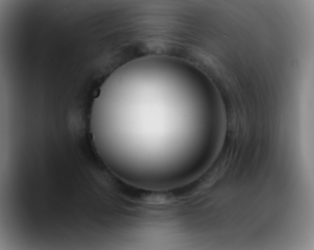 X0000090750751200707201449
