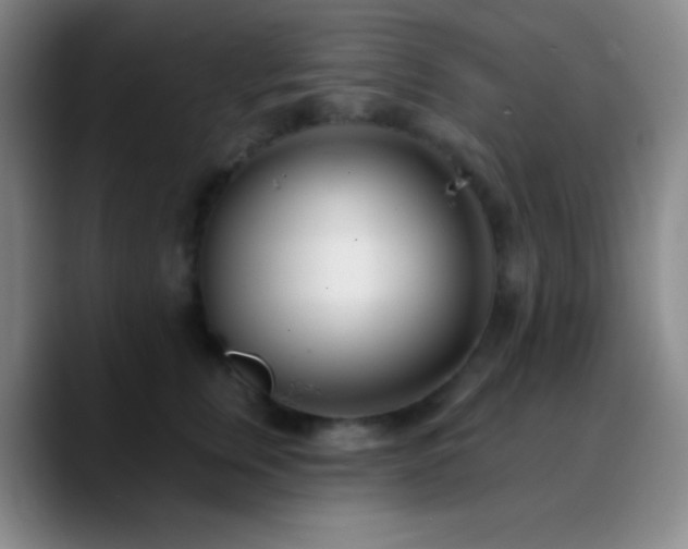 X0000090750759200707201449