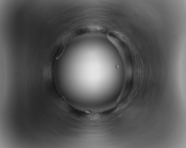 X0000090750762200707201449