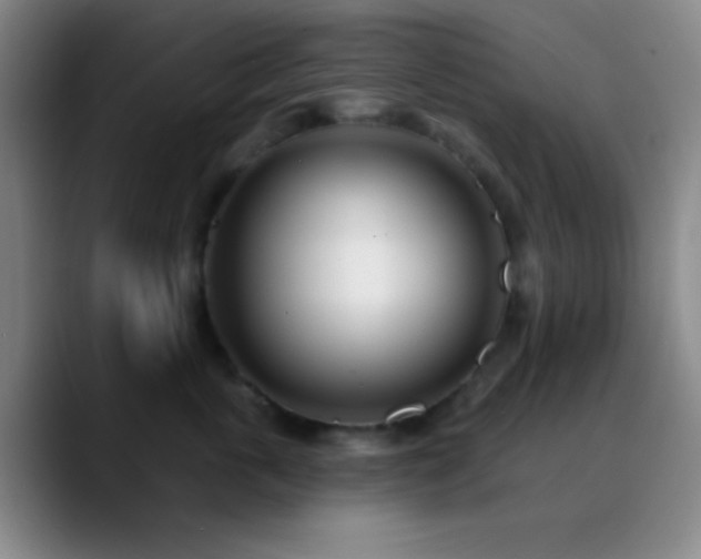 X0000090750763200707201449