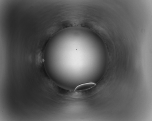 X0000090750768200707201449