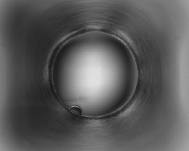 X0000090750779200707201448