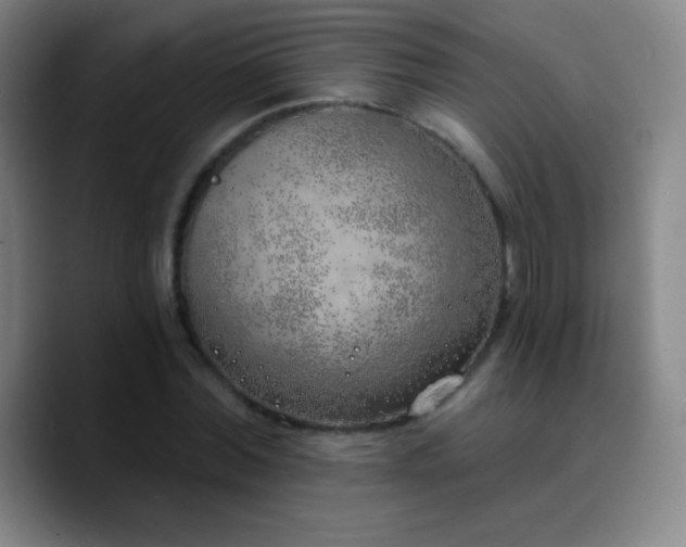 X0000090750780200707201448
