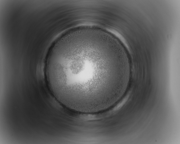 X0000090750783200707201448