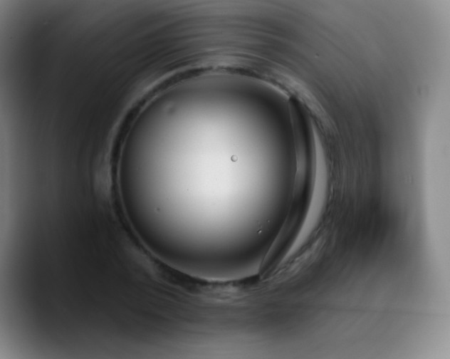X0000090750784200707201448