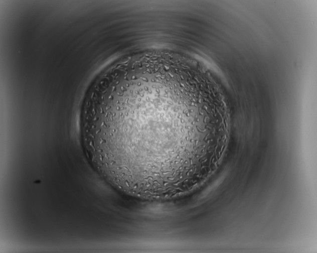 X0000090750790200707201448