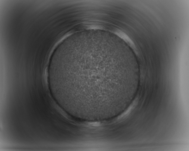 X0000090750798200707201448