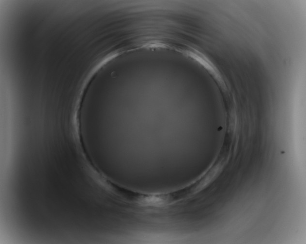 X0000090750806200707201448