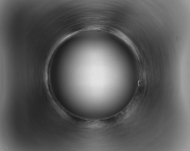 X0000090750811200707201448
