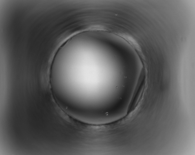 X0000090750816200707201448