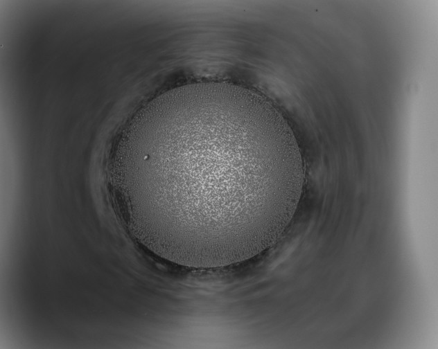 X0000090750817200707201447