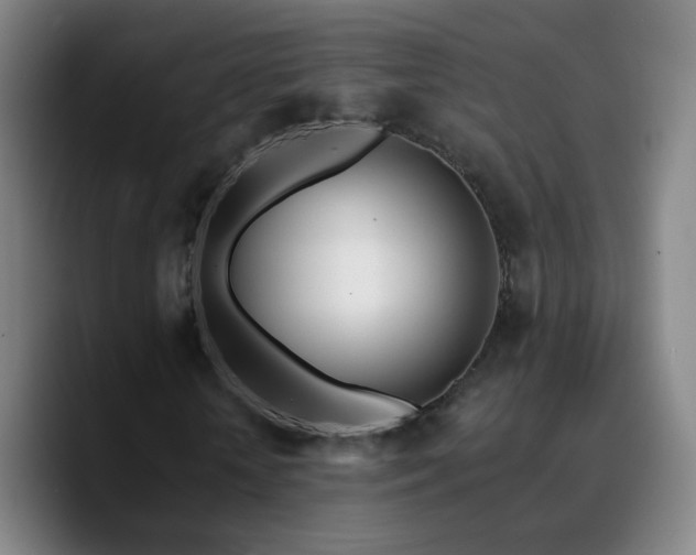 X0000090750818200707201447