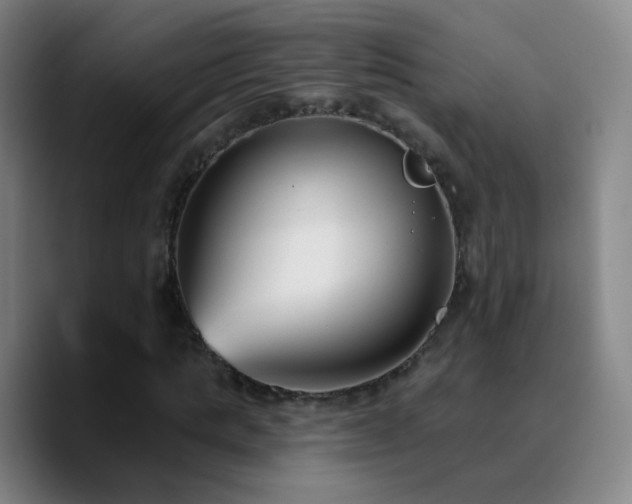 X0000090750821200707201447