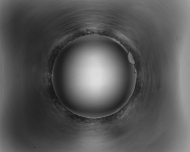 X0000090750822200707201447