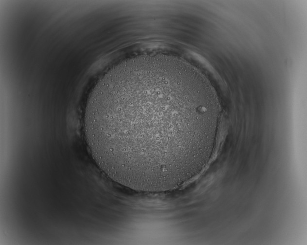 X0000090750823200707201447