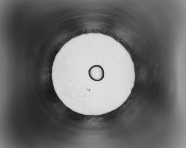 X0000090750824200707201447