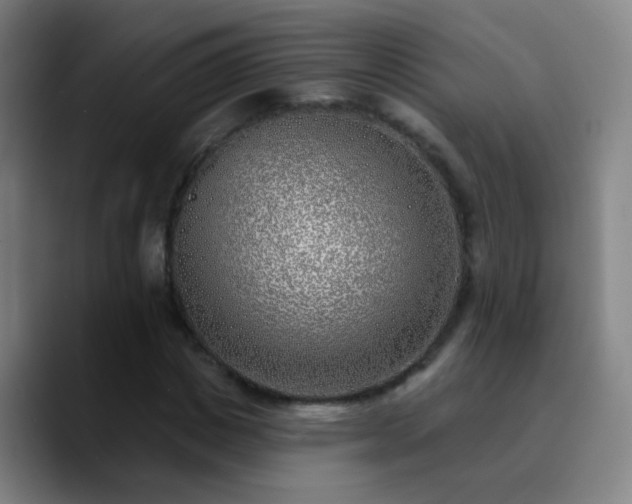X0000090750825200707201447