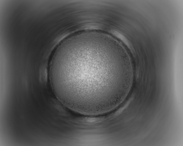 X0000090750829200707201448