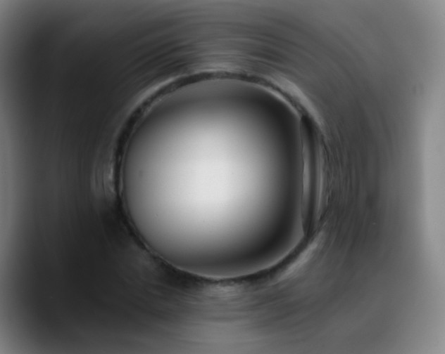 X0000090750830200707201448