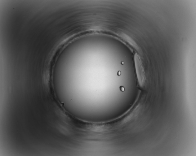 X0000090750831200707201448