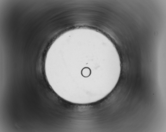 X0000090750832200707201448