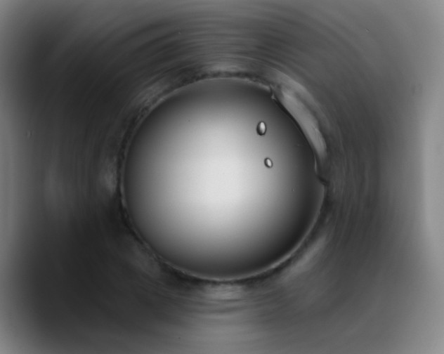X0000090750833200707201448