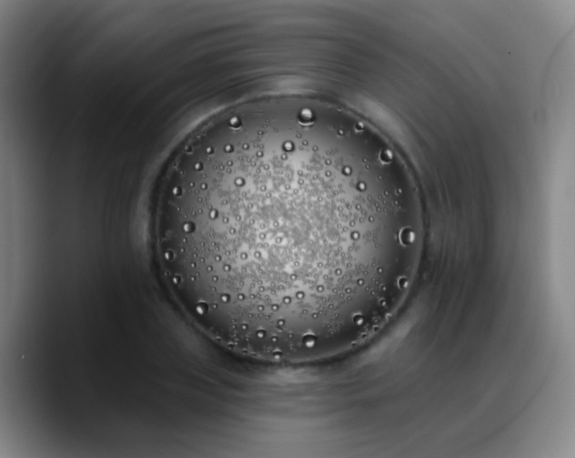 X0000090750835200707201448