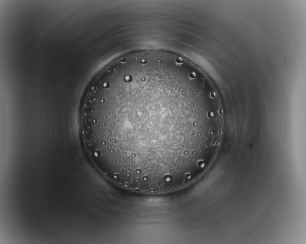 X0000090750839200707201448