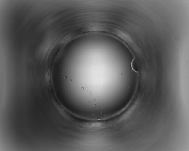 X0000090750841200707201448