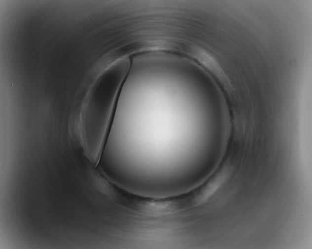 X0000090750842200707201448