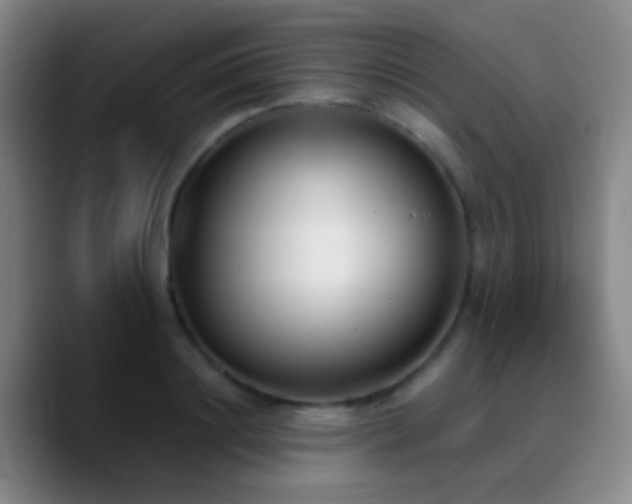 X0000090750844200707201448
