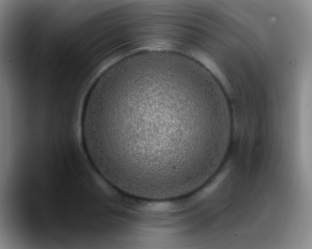 X0000090750845200707201448