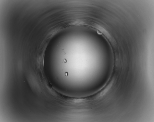 X0000090750849200707201448