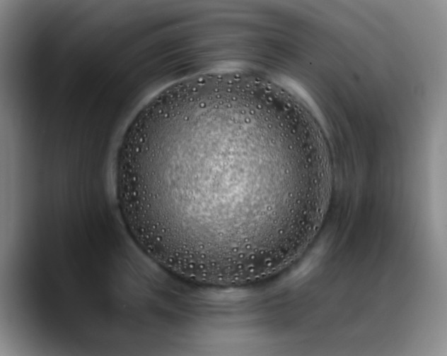 X0000090750851200707201448