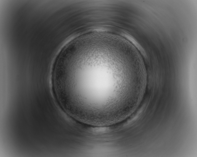 X0000090750853200707201448