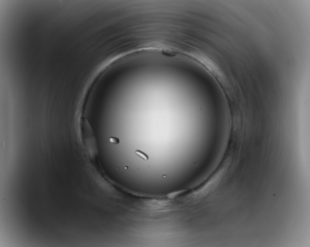 X0000090750854200707201448