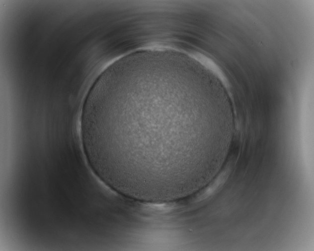 X0000090750855200707201448