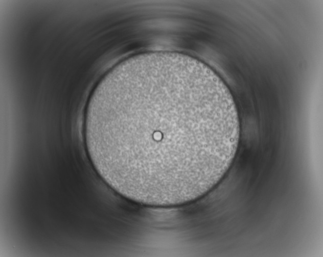 X0000090750856200707201448