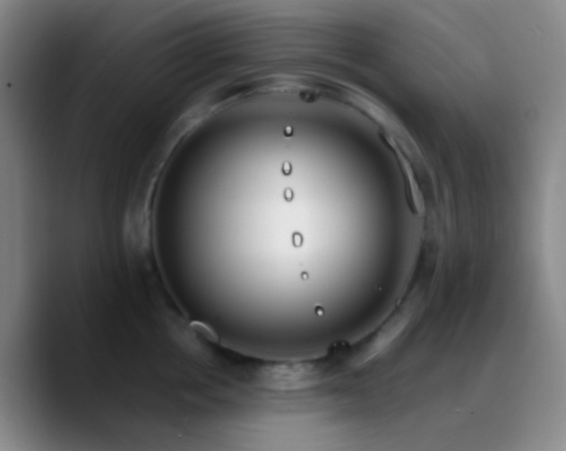 X0000090750858200707201448